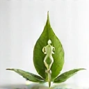 Un'immagine serena che combina elementi della natura come una foglia verde e una goccia d'acqua, con una figura umana stilizzata in posizione di equilibrio, simbolo di benessere olistico e armonia.